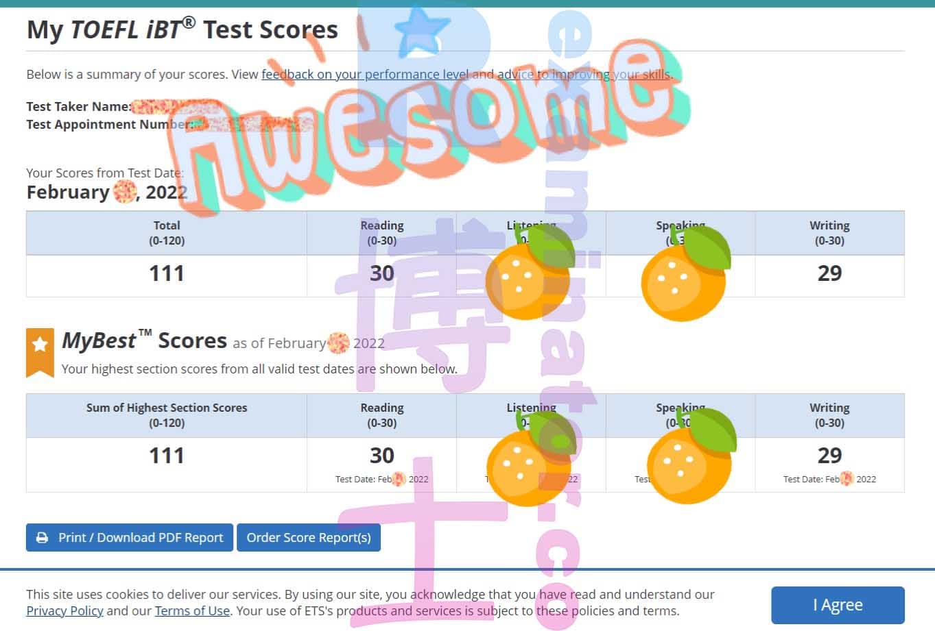 score image for TOEFL 부정행위 success story #273