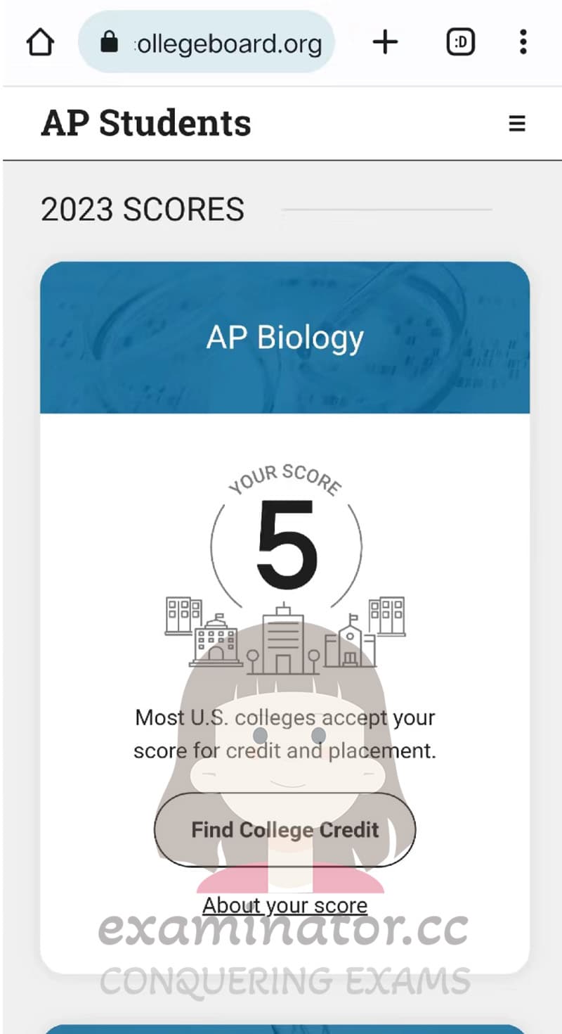 score image for Advanced Placement 부정행위 success story #632