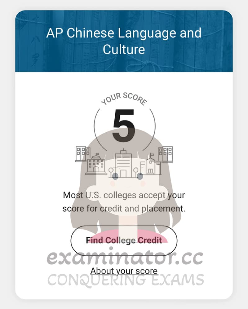 score image for Advanced Placement 부정행위 success story #638